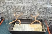 medium size cage