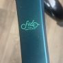 Fiido X Folding Electric Bike Image 4