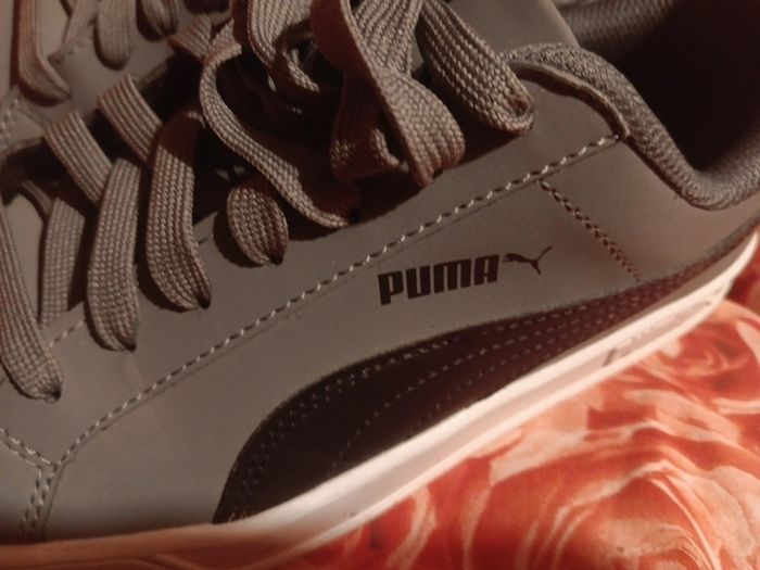 puma