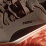 puma Image 2