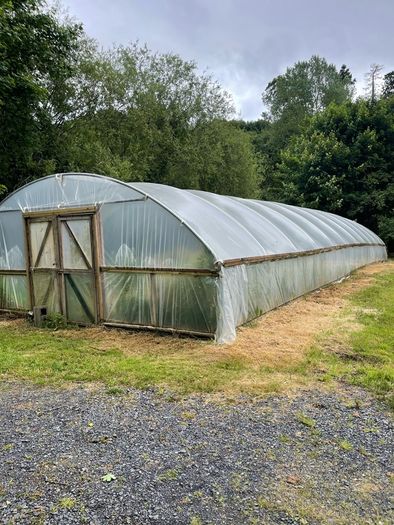 Market garden