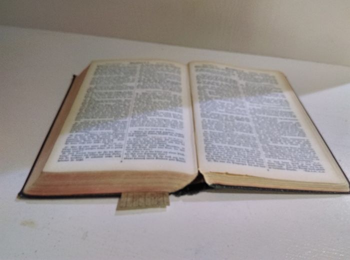 Antique German Holy Bible / Vintage Collector's Book