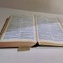 Antique German Holy Bible / Vintage Collector's Book Image 6