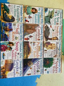 I Wonder Why set of 12 Educational Books