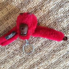 Kipling monkey - Asiye