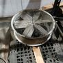 fans Image 6