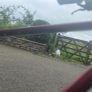 Bicycle Image 5