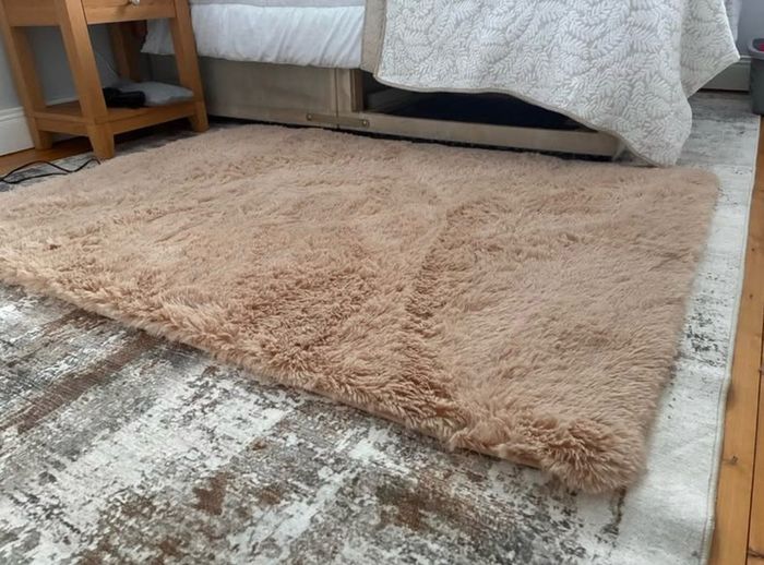 Soft Shaggy Beige Rug