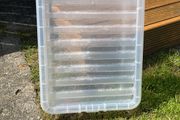 storage box &amp; lid (small hairline crack)