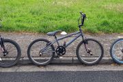 Tree Stunt/bmx Bicycles