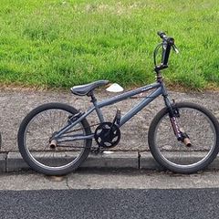 Tree Stunt/bmx Bicycles