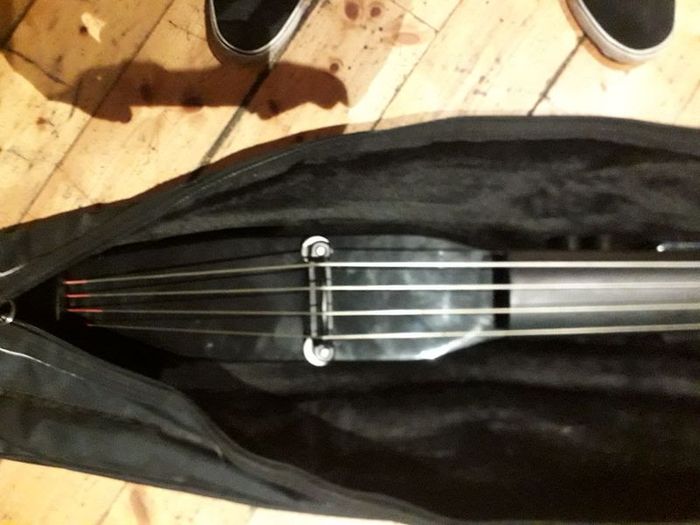 Stand up bass