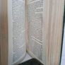 The Select Speeches of Daniel O'Connell (Vol. II) Edited, With Historical Notices, Etc., by His Son, John O'Connell (PT211) Image 4