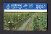 1995 Thailand 50 Baht Thai Agriculture (Landis &amp; Gyr (Optical)) Phonecard