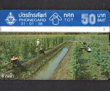 1995 Thailand 50 Baht Thai Agriculture (Landis & Gyr (Optical)) Phonecard