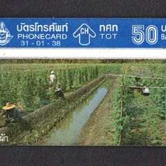 1995 Thailand 50 Baht Thai Agriculture (Landis & Gyr (Optical)) Phonecard