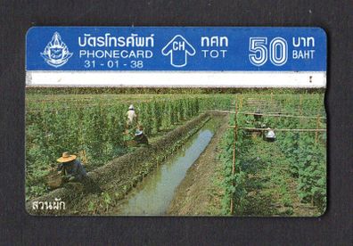 1995 Thailand 50 Baht Thai Agriculture (Landis & Gyr (Optical)) Phonecard