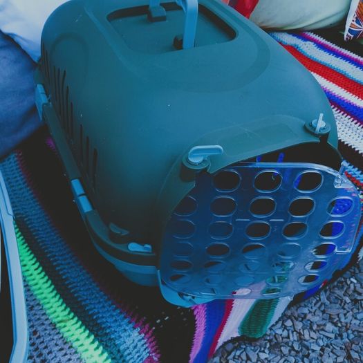 cat carrier and litter tray