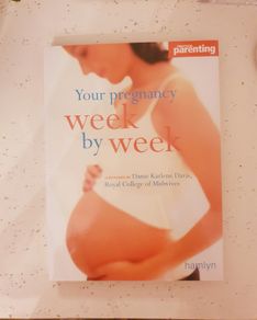 Pregnancy Book
