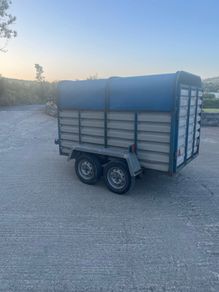 8x4 Cow Box