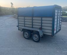 8x4 Cow Box