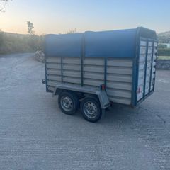 8x4 Cow Box