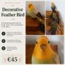 Beautiful Decorative Feather Bird Image 2