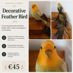 Beautiful Decorative Feather Bird