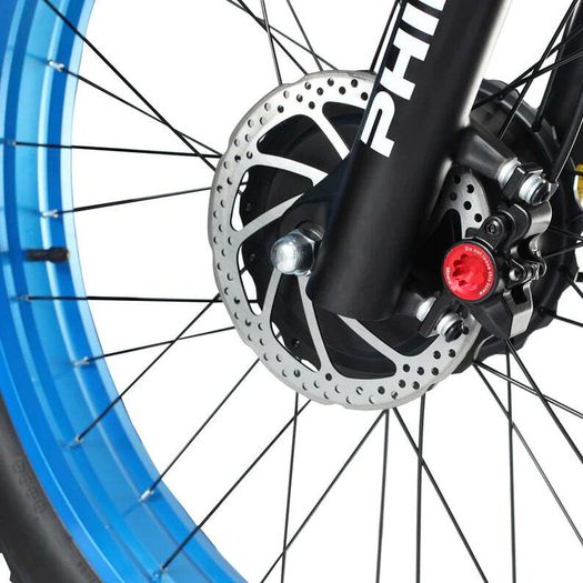Philodo H8 Dual Motor Fat Tire Cargo Bike