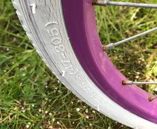 Frozen bike