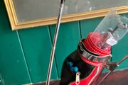 drink mixer