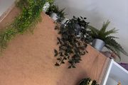 faux plants with pots