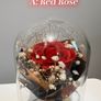 Rose Bouquet Under Glass Dome (6 Colour Options) Image 10