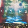 The Horrors - Skying (Special Edition) Image 2