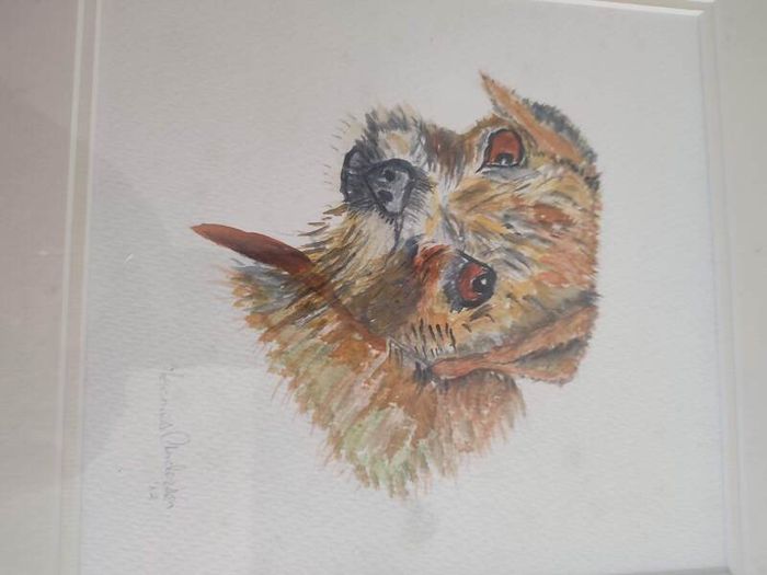 FRAMED A portrait of a curious young Border Terrier  a colored pencil original on pastel mat.