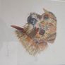 FRAMED A portrait of a curious young Border Terrier  a colored pencil original on pastel mat. Image 3