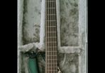 Warwick streamer Pro M 5 string