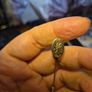 Vintage Monogram H Gold Tone Stick Pin Lapel Hat Coat Jacket Scarf Image 3