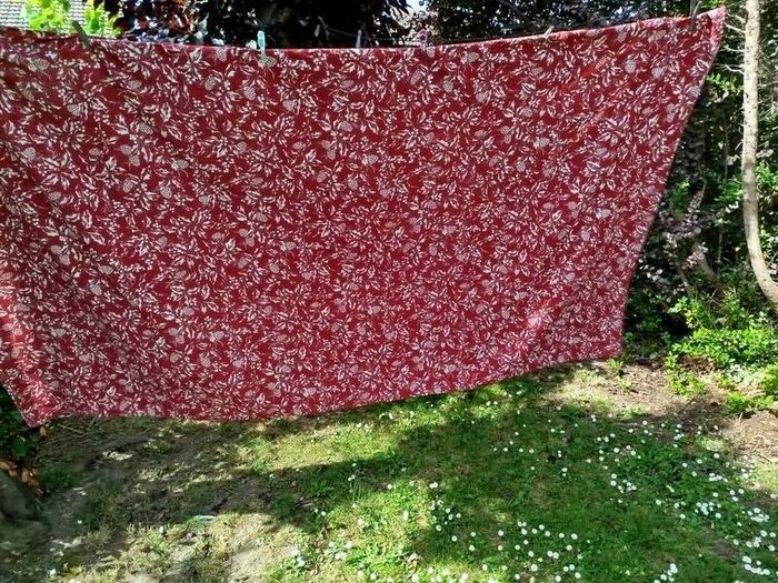 Tablecloth