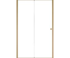Duo Slide Brushed Gold Sliding Shower Door