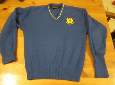 Gaelscoil nas na riogh