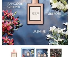 GUCCI BLOOM 100ml parfum for her