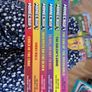 The Stonewords Saga Minecraft set of books Image 2