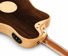 L.R.Baggs AEG 1 E-Acoustic