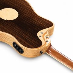 L.R.Baggs AEG 1 E-Acoustic