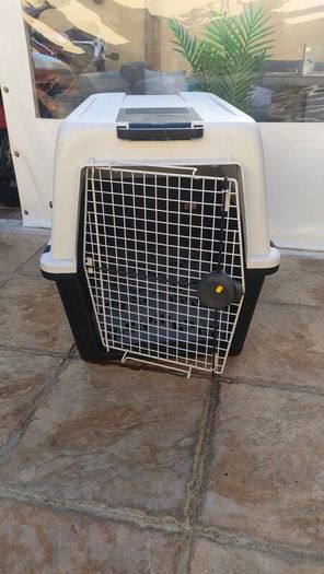 Large Dox Box / Carrier