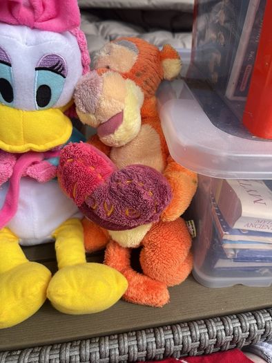 teddies
