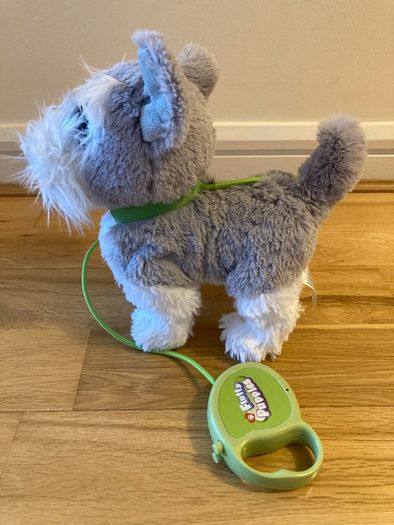 Walking dog