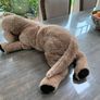 Big cuddly dog Image 5
