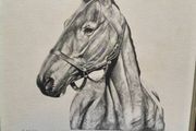 Arkle Framed Drawing/Print